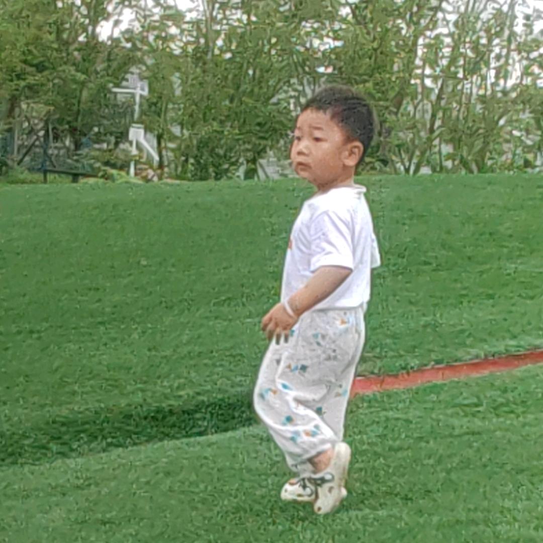 @人体硬组织修复工程师