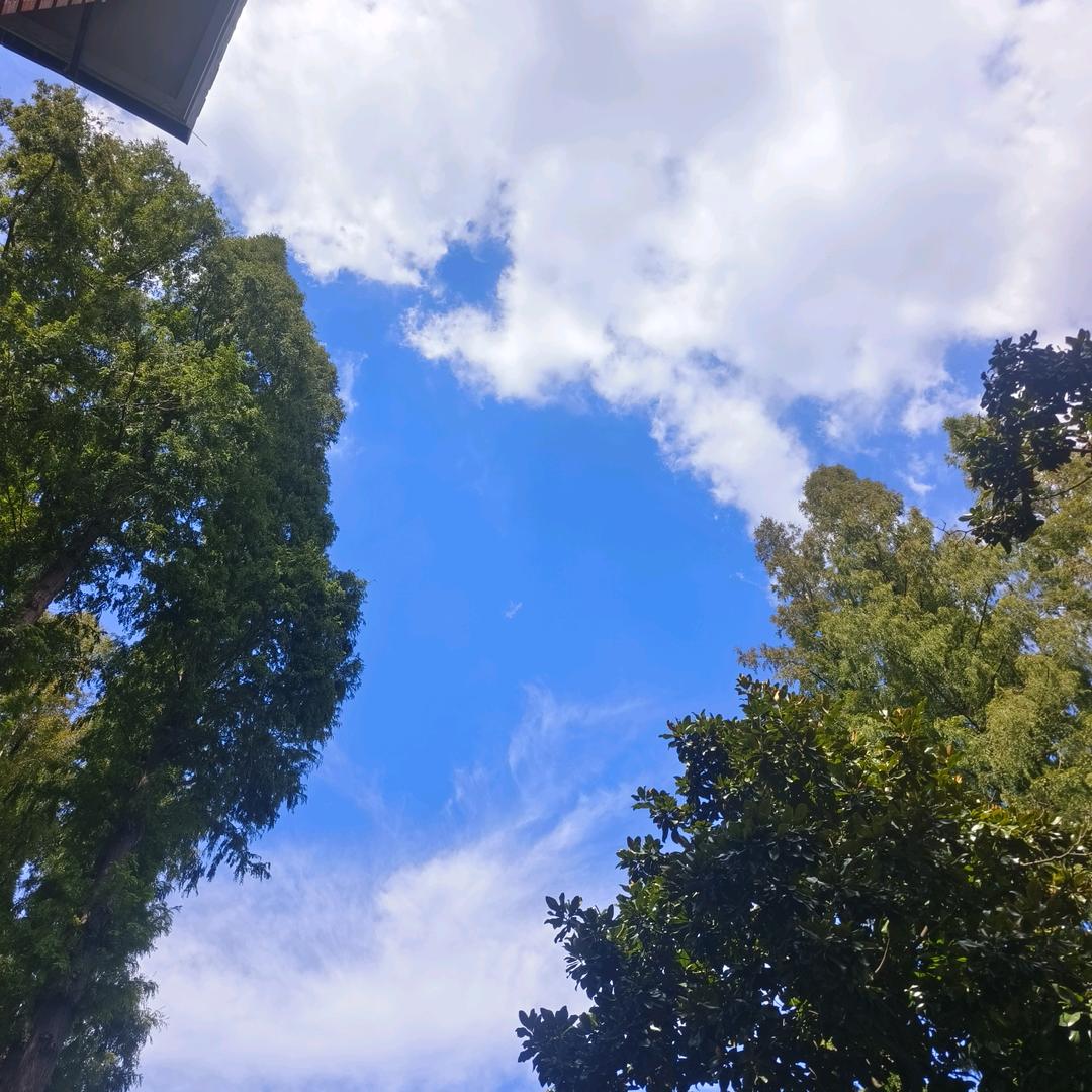滁州天新洗涤