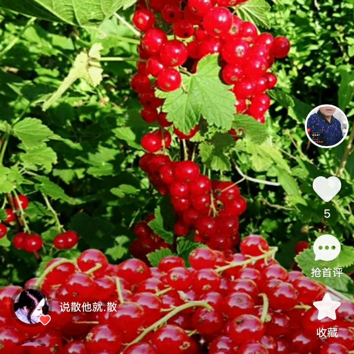 阿明