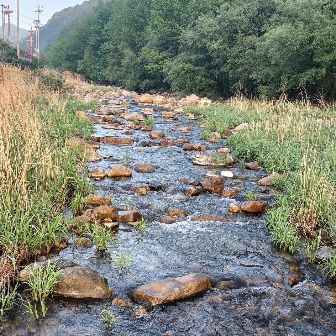 渔你🐠🐠同行