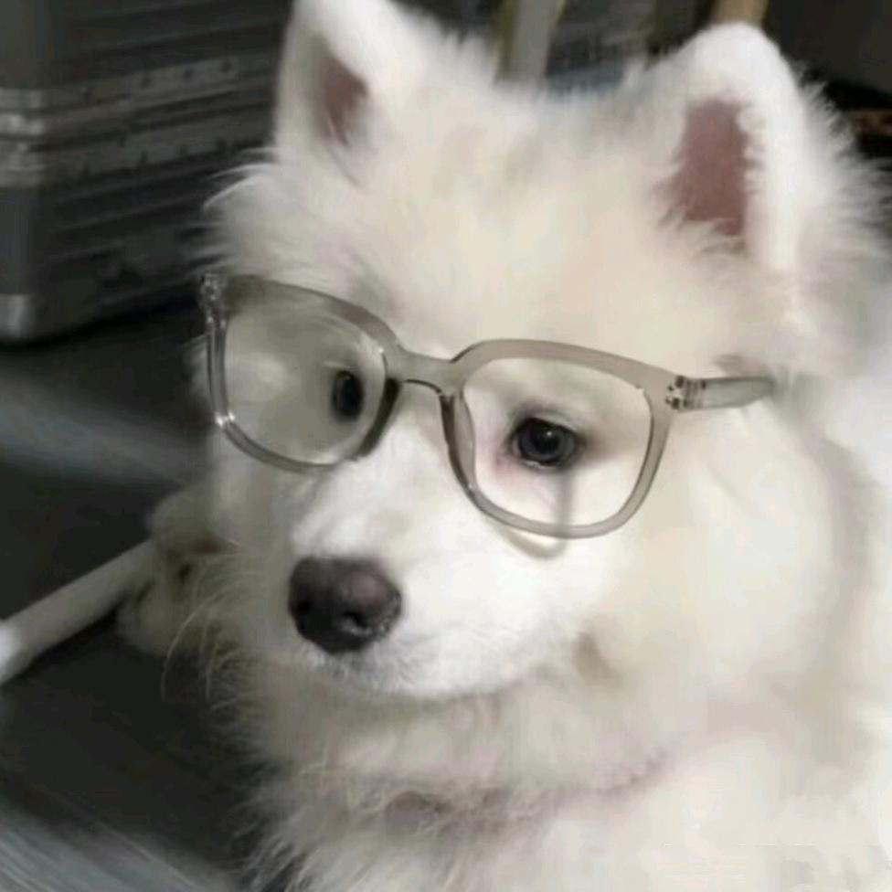 林墨染青枳