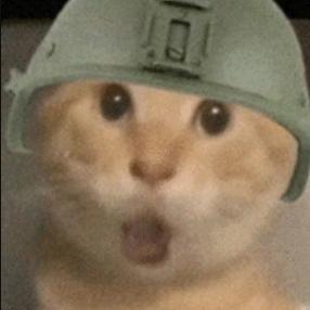 狗蛋