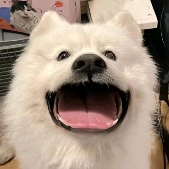 有何不妥