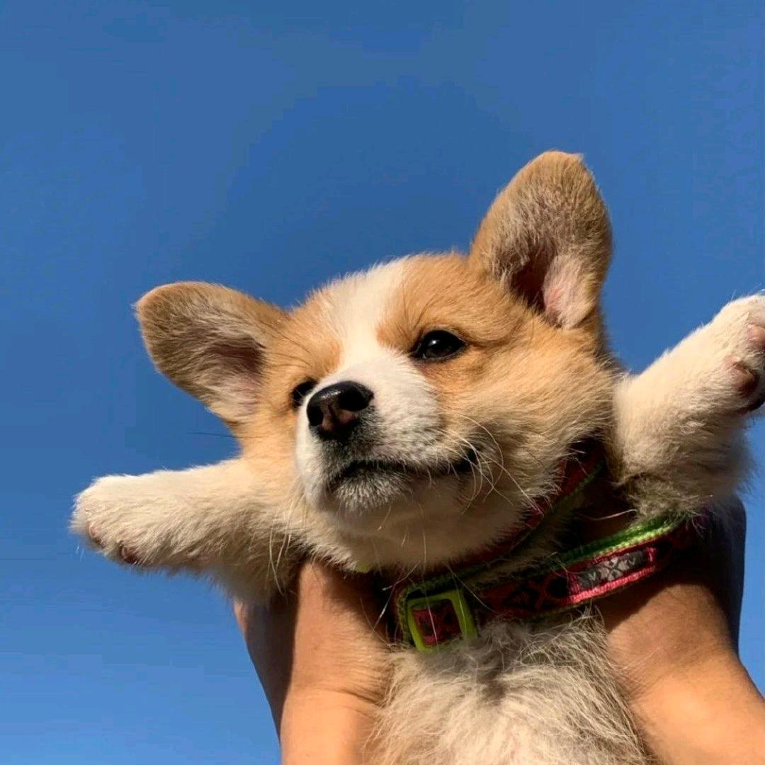 風