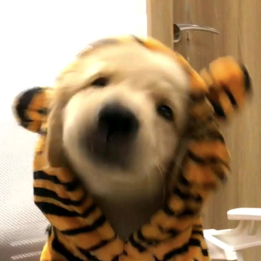 ***
