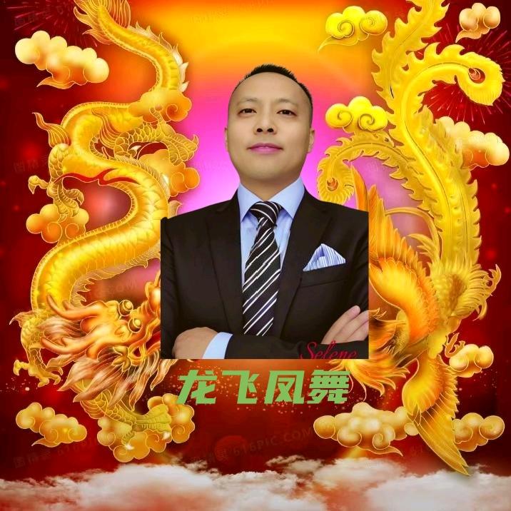 龙飞凤舞