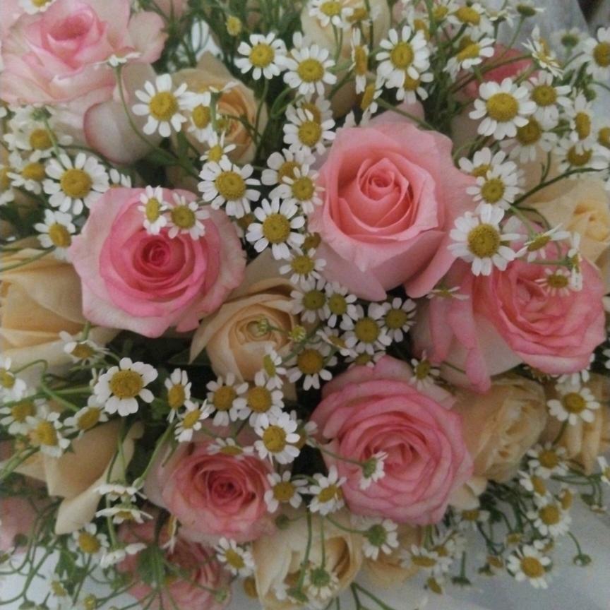 花开花谢