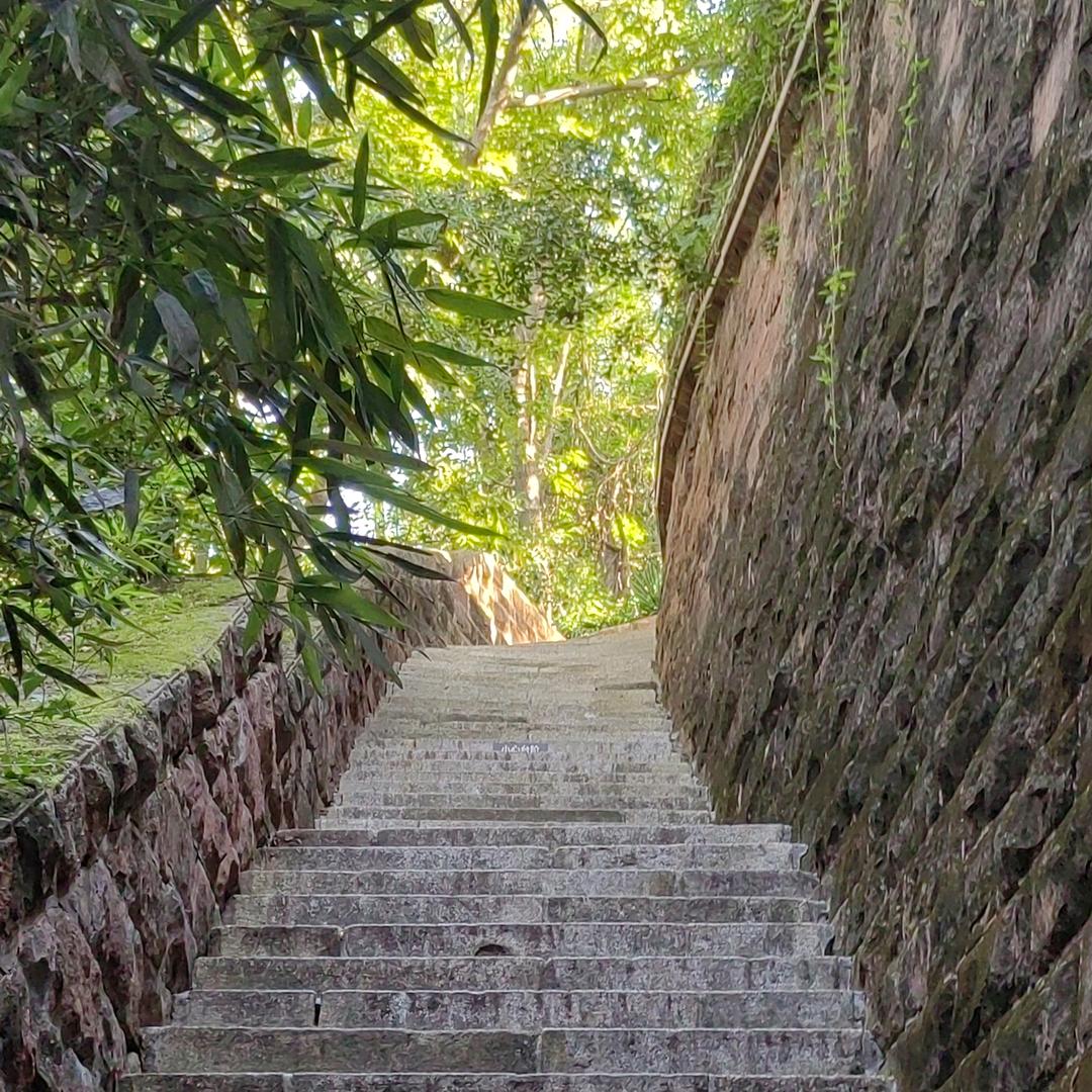 铭悦幸福加加加
