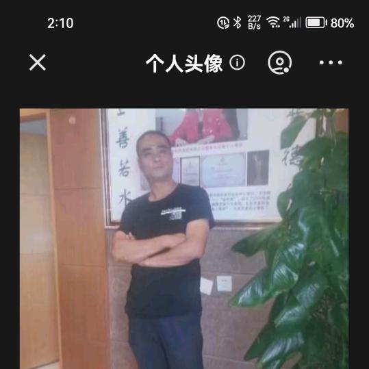 鹏飞万里