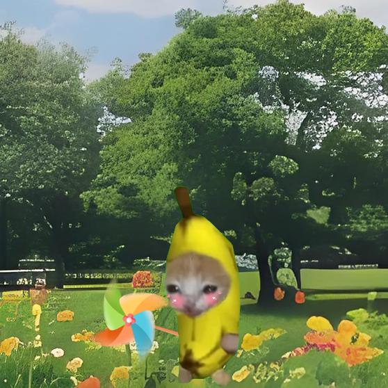 果汁猫meme