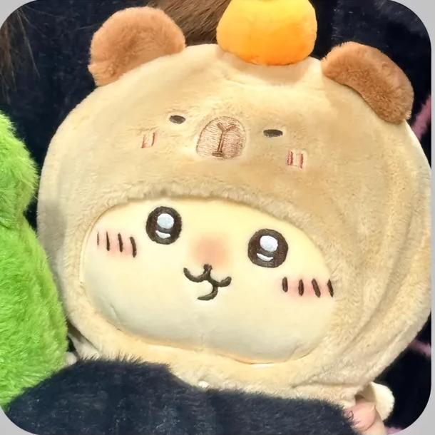 悲伤椰