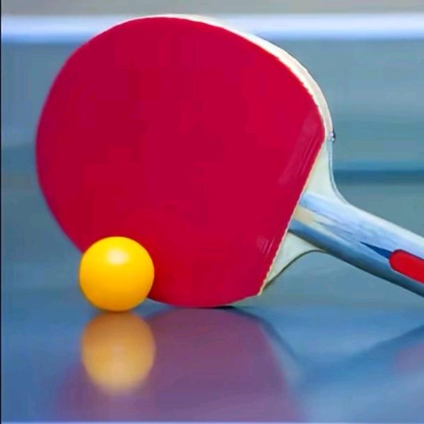 艾尚乒乓