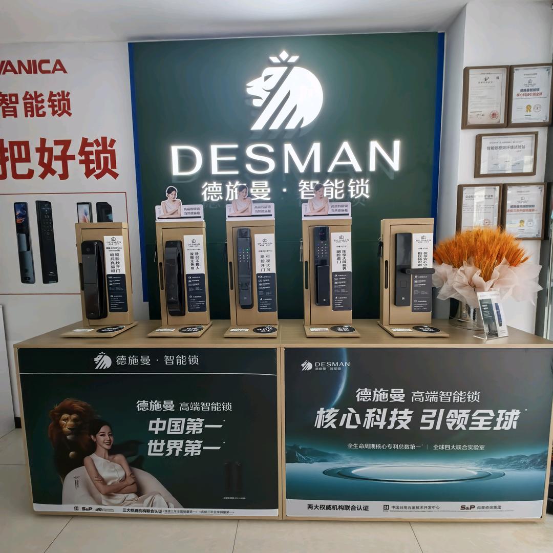 永登德施曼智能锁
