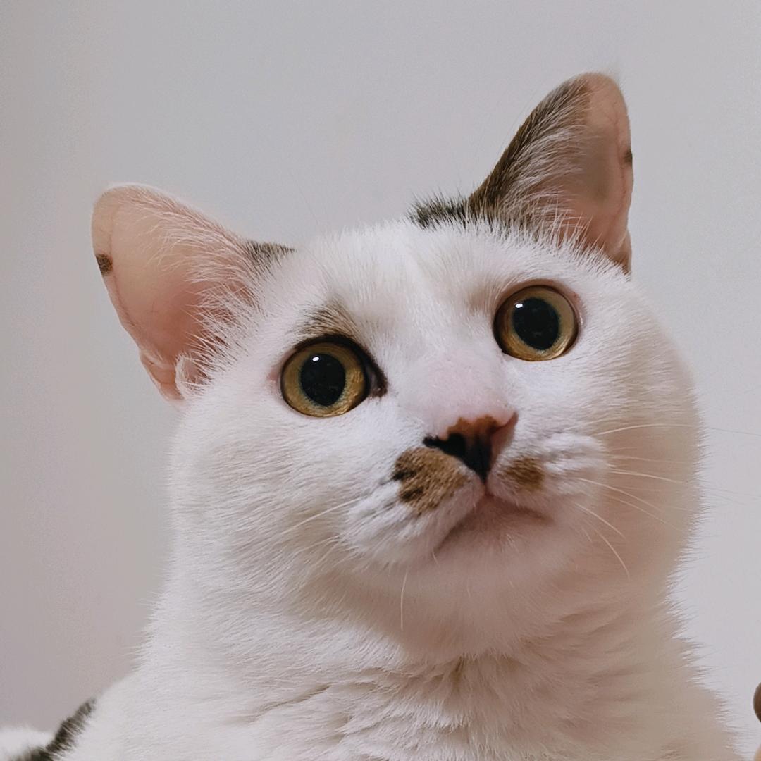 咪儿