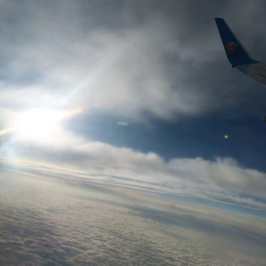 我姓杨(╭☞•́⍛•̀)☞我会养你一辈子