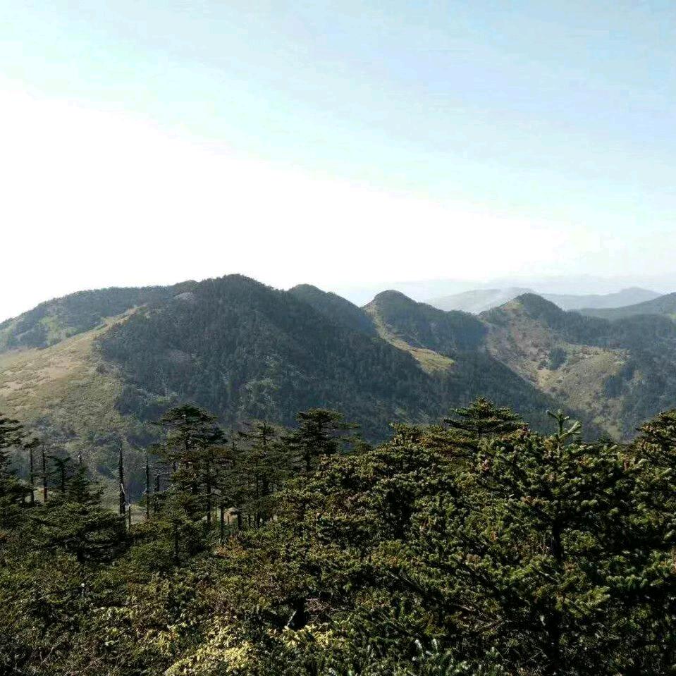 黄钟大吕，秋蝉时鸣。