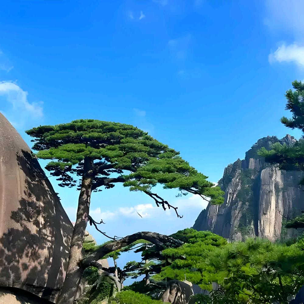 去旅游（户外用品·机票签证）