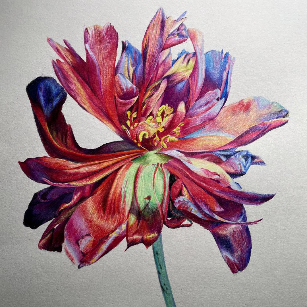 阳光之美少儿美术小龙老师