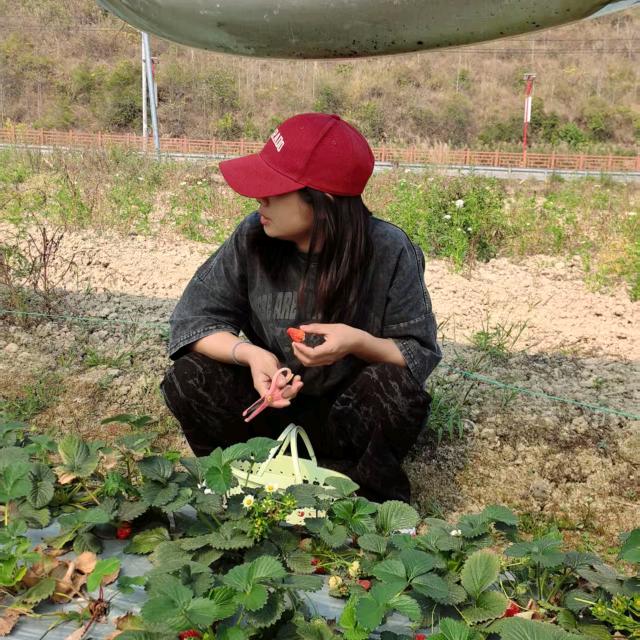 🥤小情绪☀️º᭄