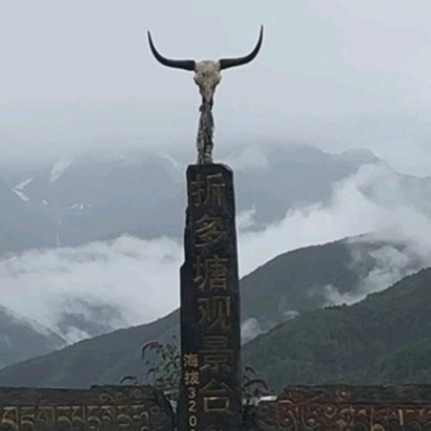 😂人间清醒😂