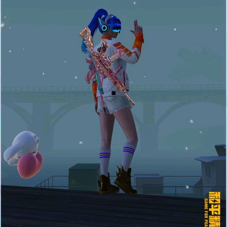 一只猪《和平精英》（代巡查）