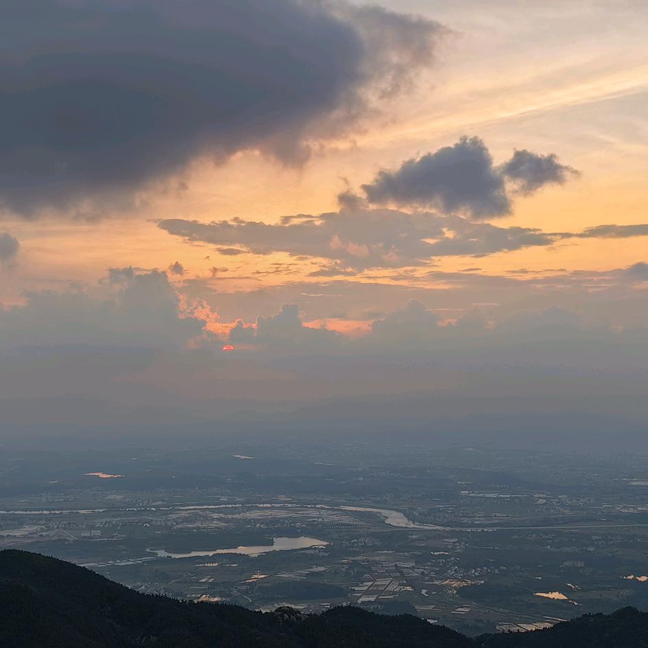素心向暖