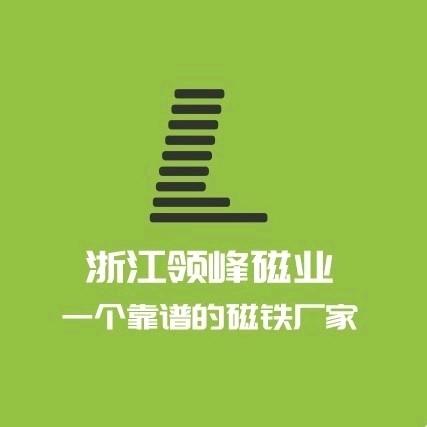 领峰磁业—强磁废料