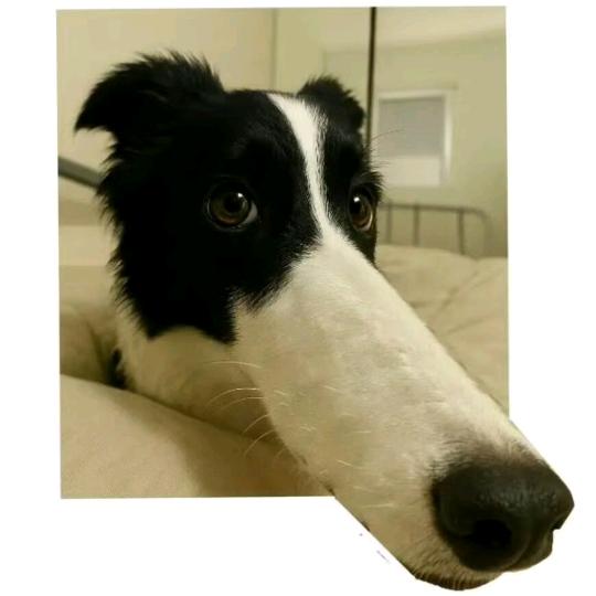 归  零
