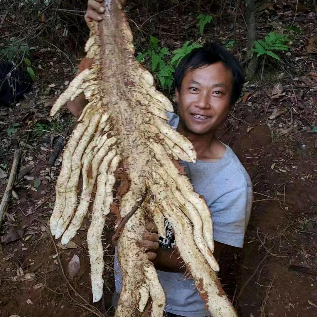 阿昌山黑牛哥山货