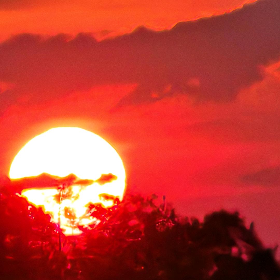 🐍⁰⁵¹⁷笑🌞看天下