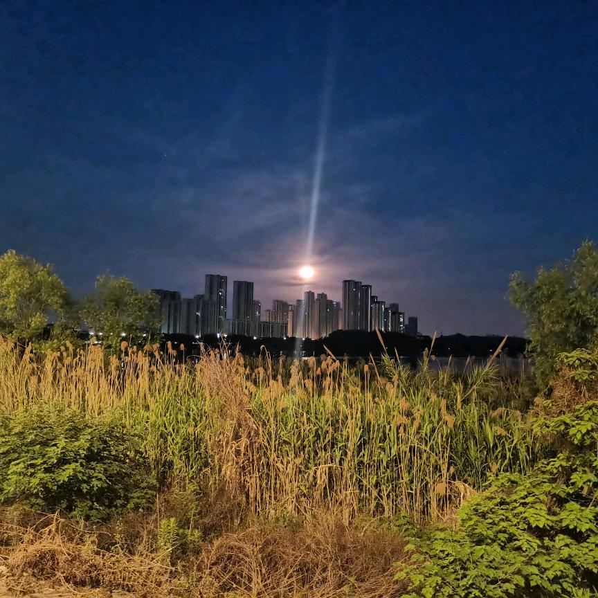 山雨欲来风满楼