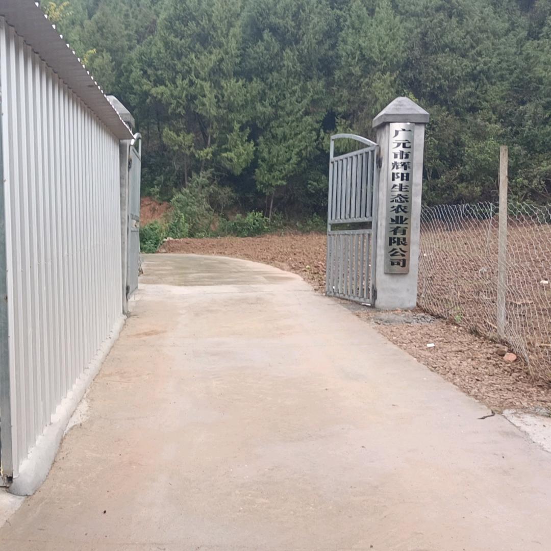 广元辉阳生态农业跑山猪养殖