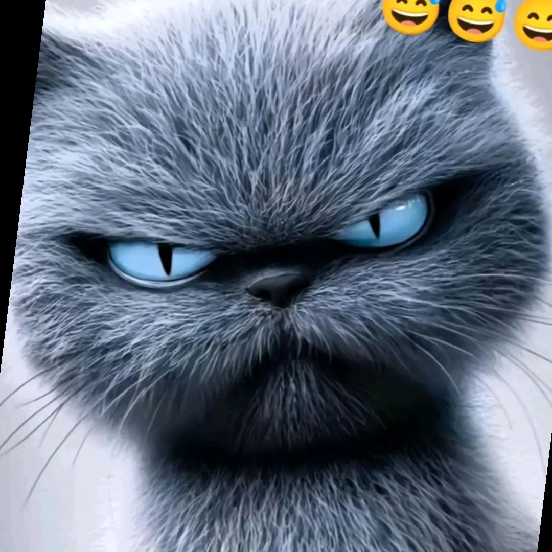 ꧁꫞꯭丁꫞꧂