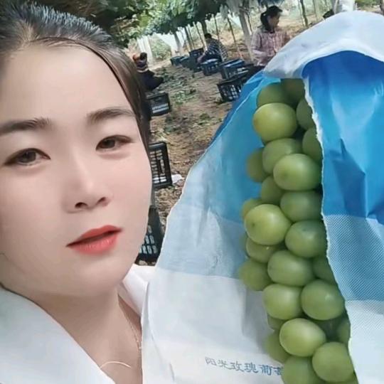 渭南玲玲瓜果