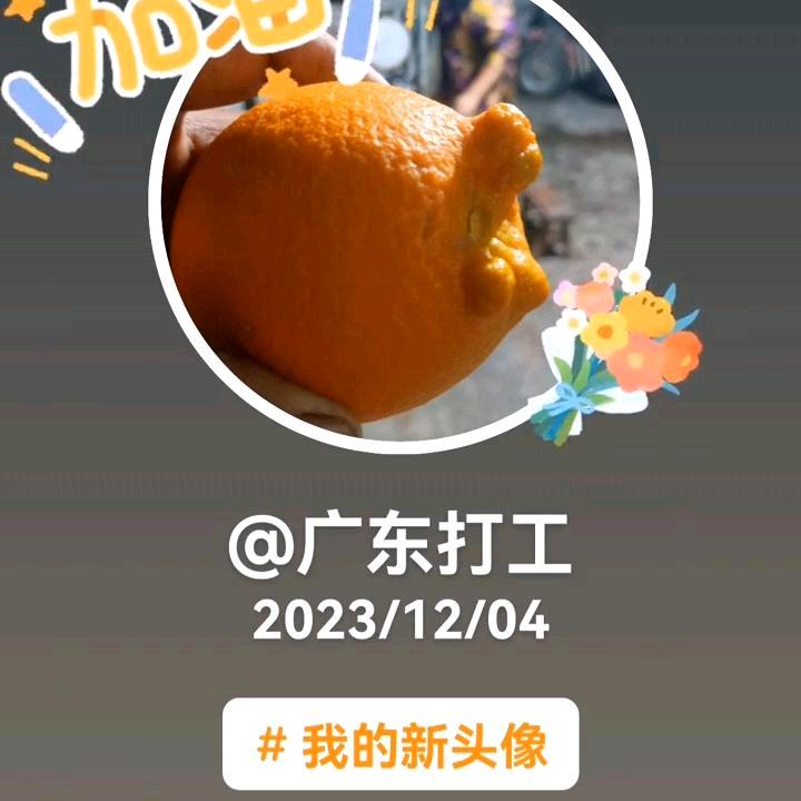 2026年贵州铜仁德江新年快乐