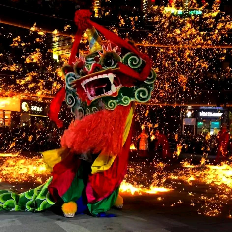 桂《鸿盛龍狮团》