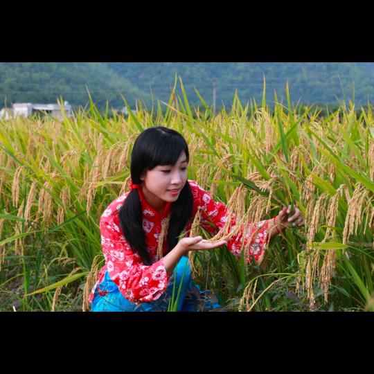 娜萍经营部