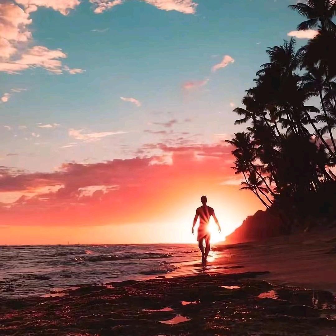 养鸡三兄弟～二师兄