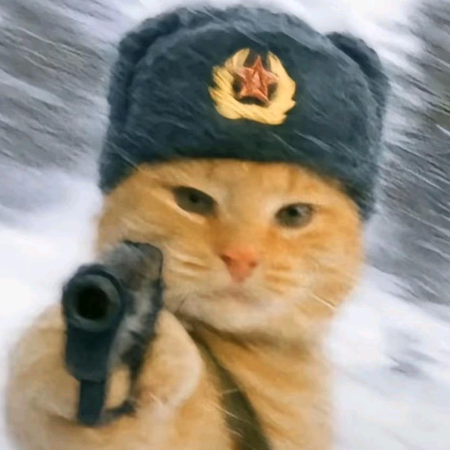 素敵！
