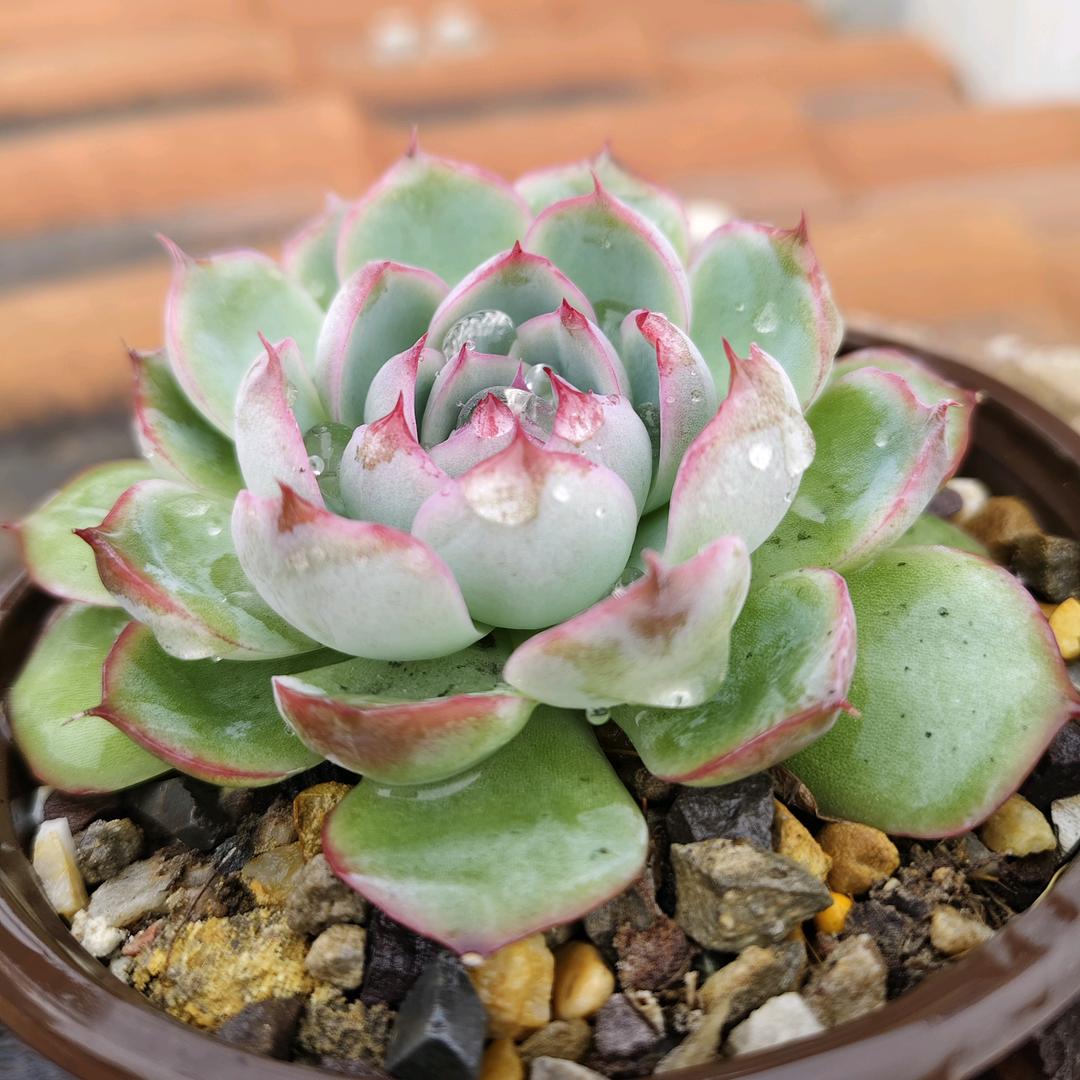 @好好生活♥(｡￫v￩｡)♥