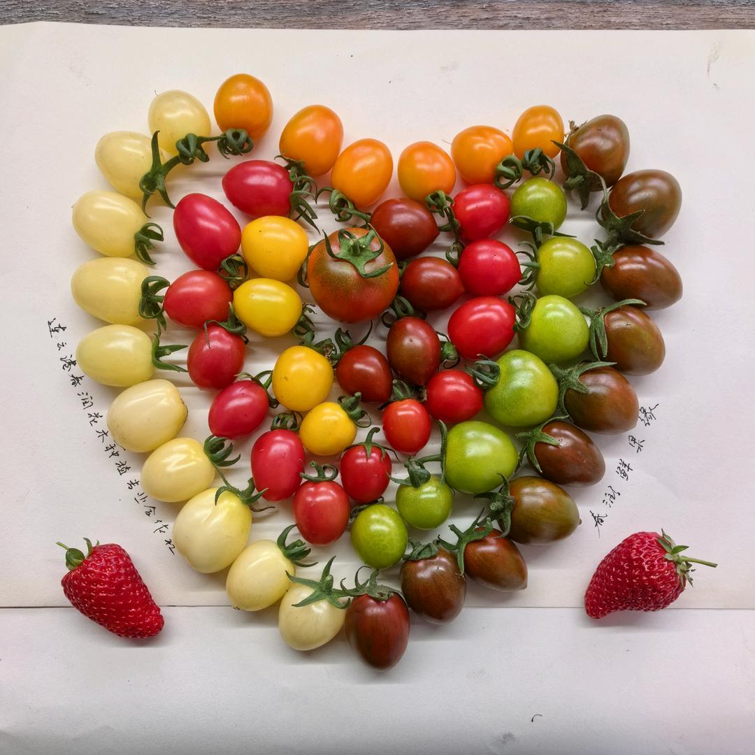 春润🍅鲜果缘