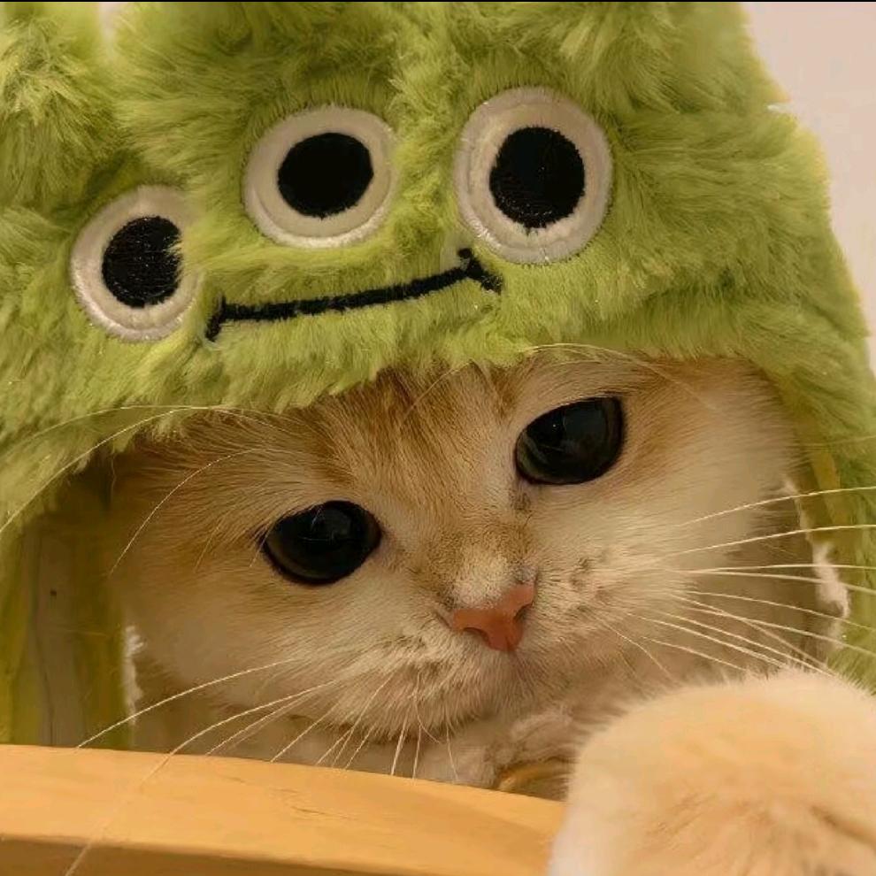 掰你一颗兔子牙🍑