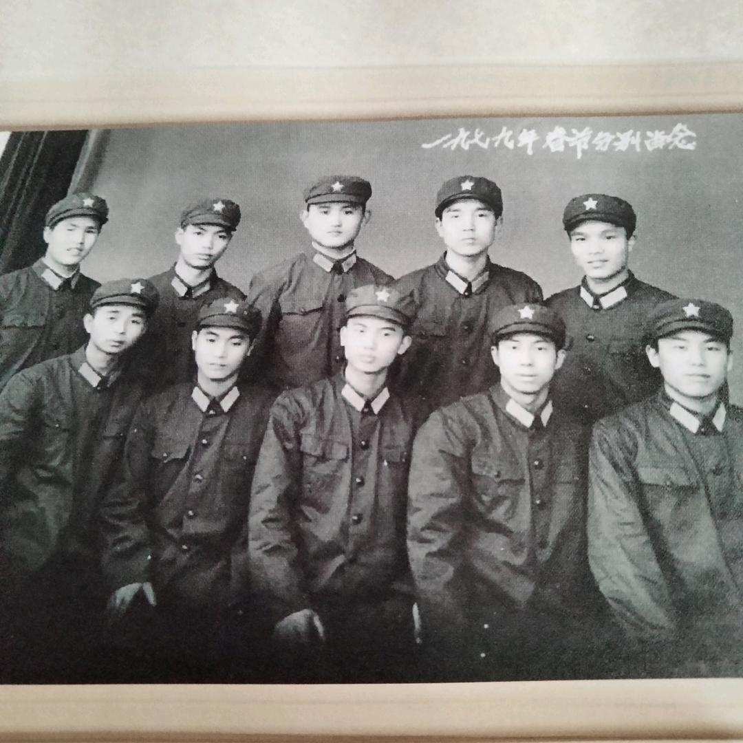 专业种子紫苏，艾叶胡氏农村合作社