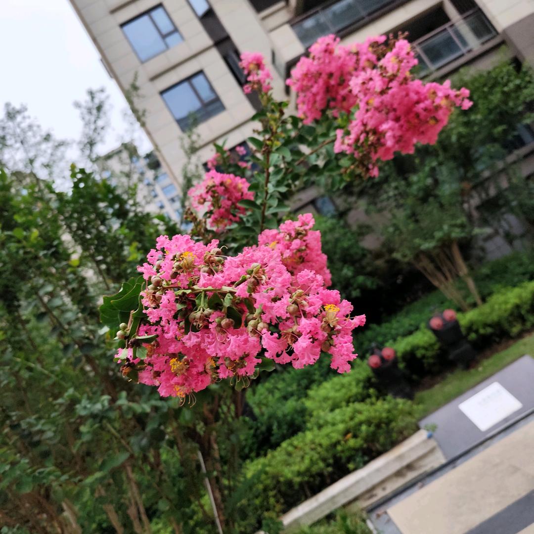 艳子啊