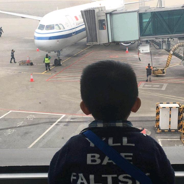 欲饮桃花同载酒