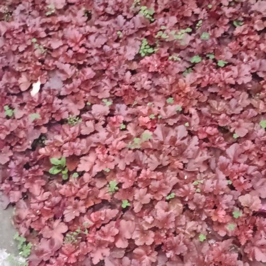 💐开心快乐💐