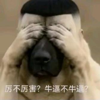 ㅤ ㅤ ㅤ小鸟旭依人