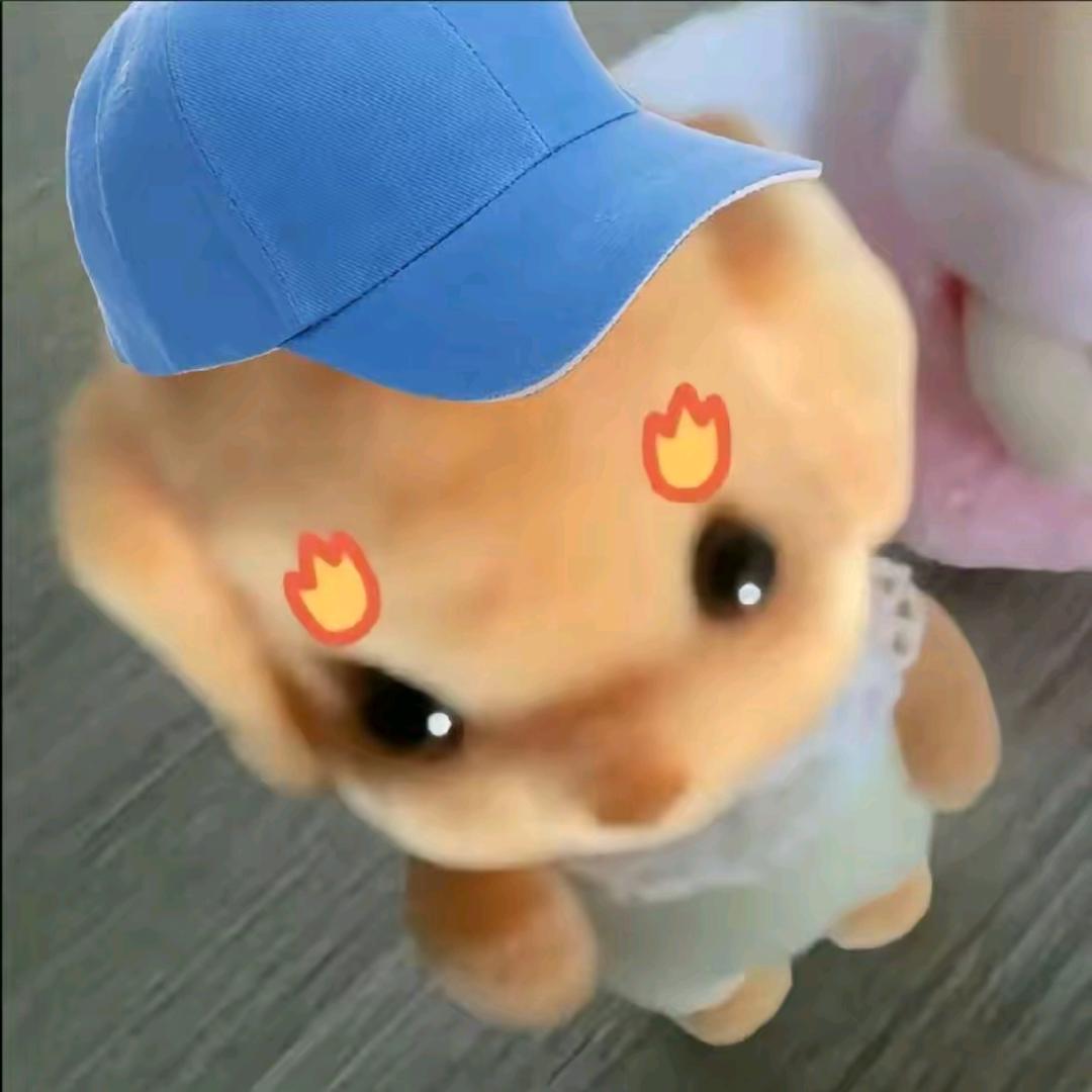 土豆少侠