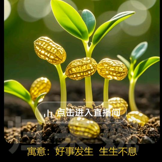 黑枣