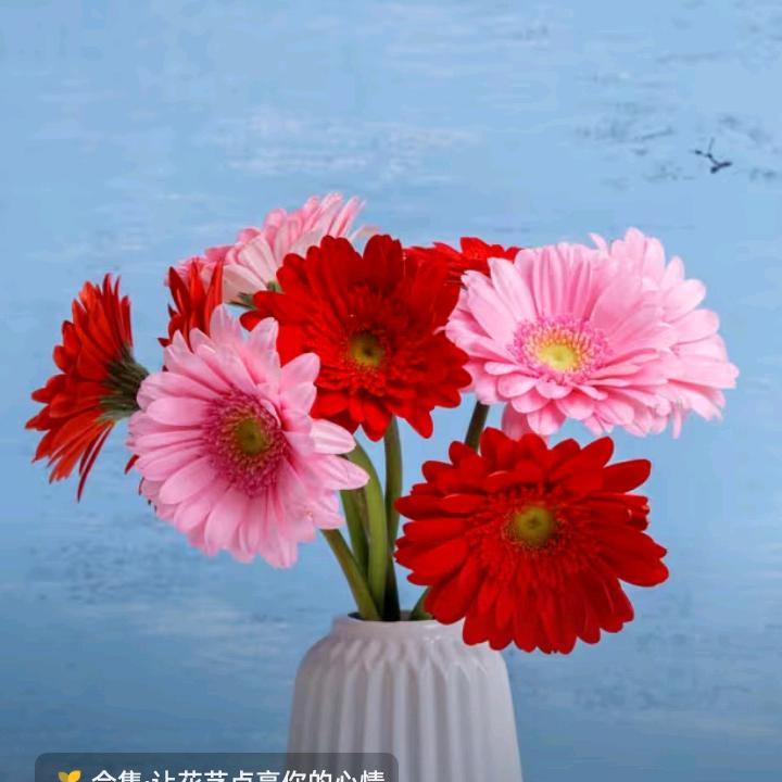 永远爱老公.1314520